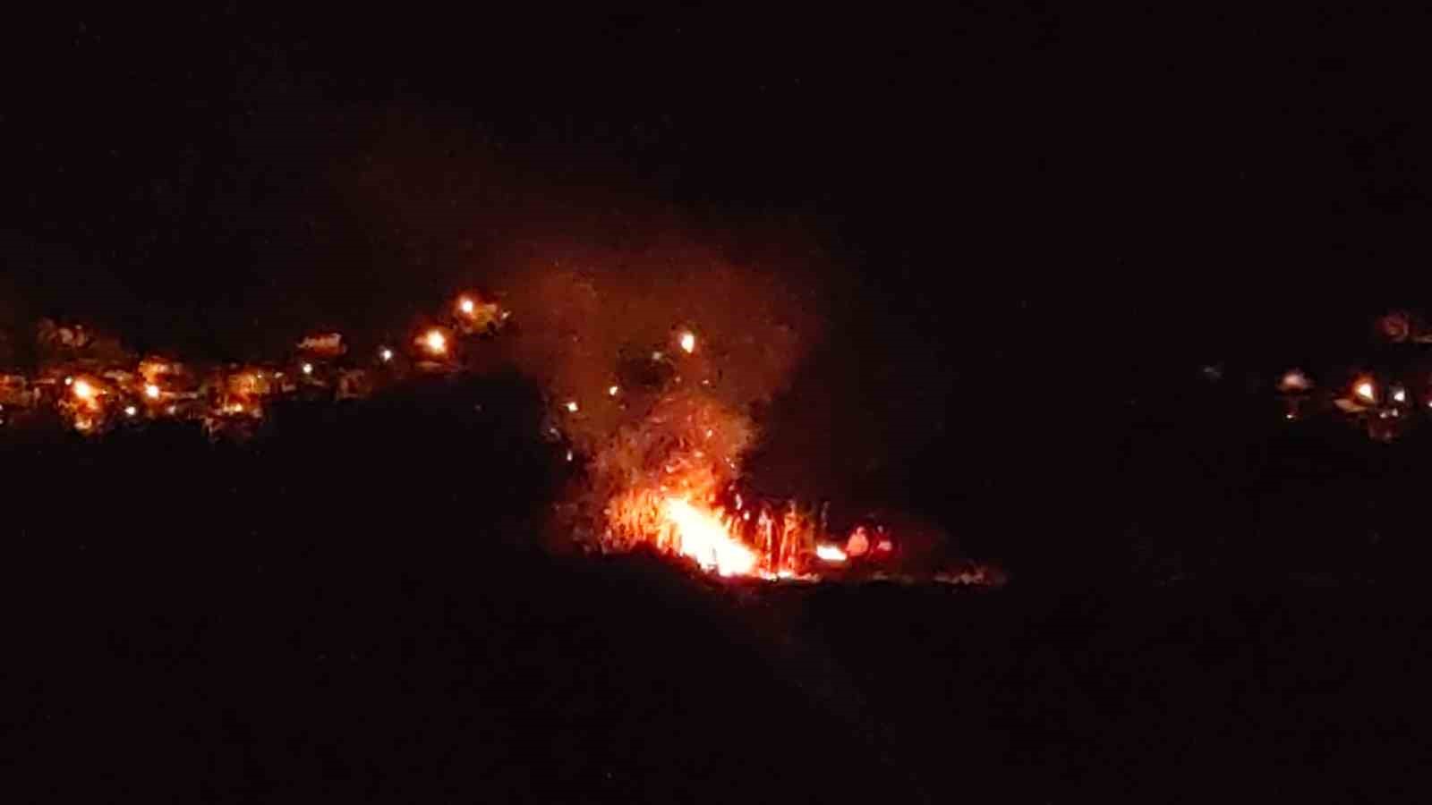 Van’da sazlık alan yangını