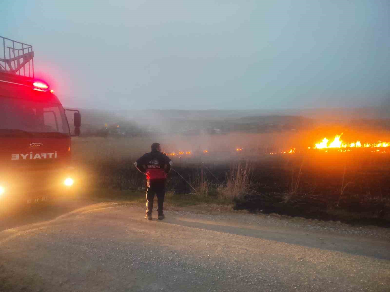 Van’da sazlık alanda yangın
