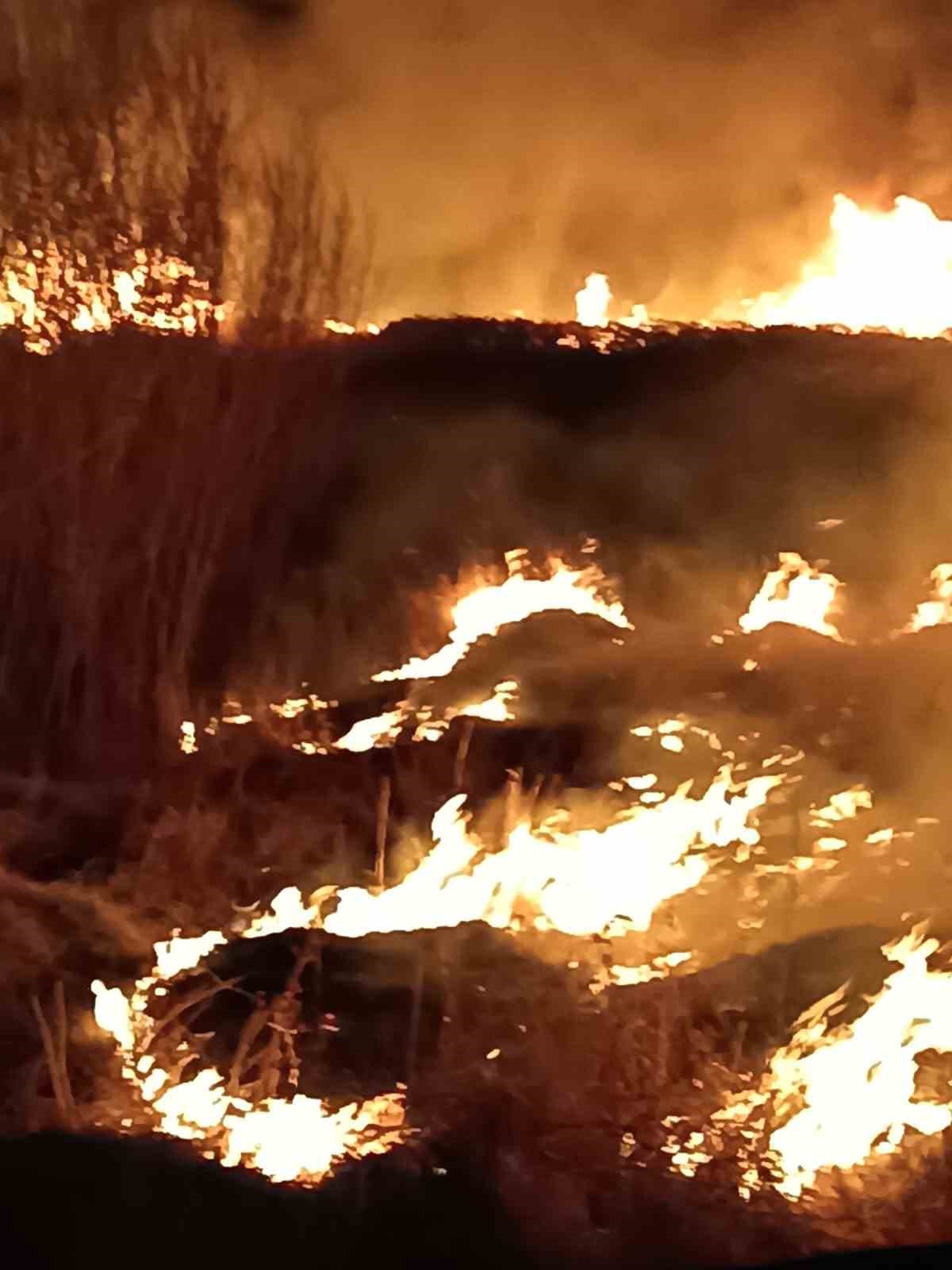 Van’ın o ilçesinde son 2 günde 3 sazlık alan yandı
