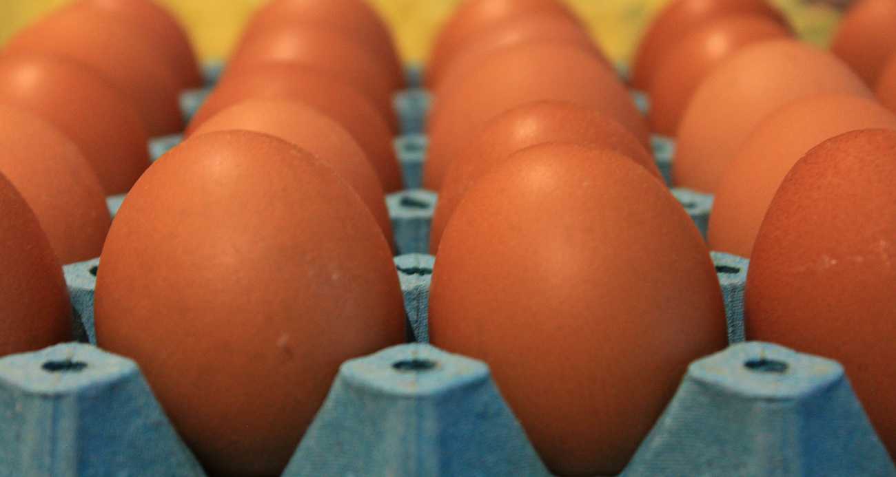 Yumurta fiyatları düşüşe geçti