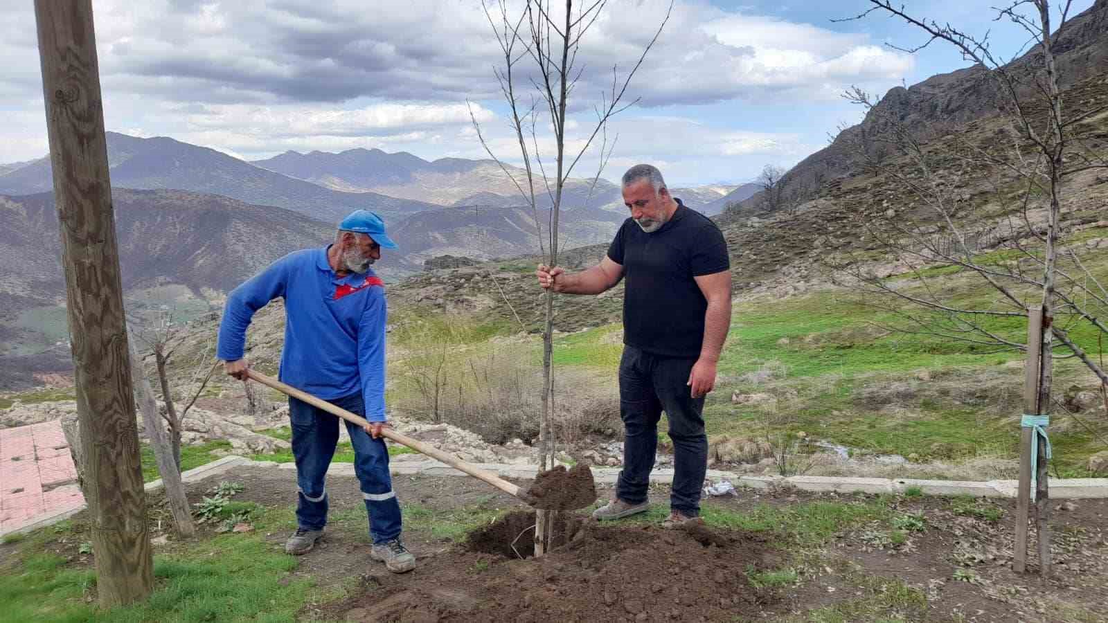 Yurt dışında olmasına rağmen her yıl memleketine ağaç diktiriyor