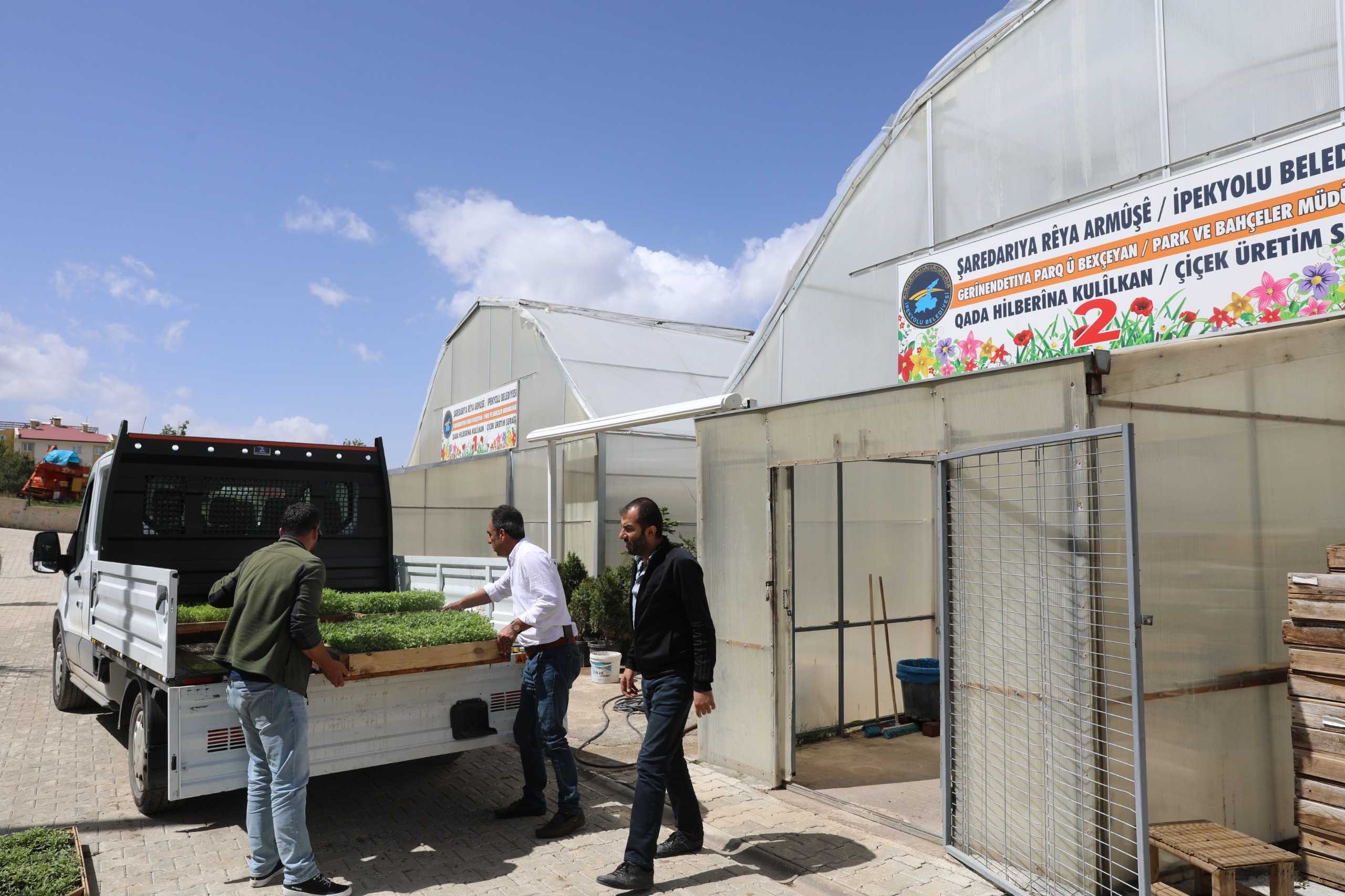 Vanlılar Bahçenizi Hazırlayın! Sebze Fideleri Kapınıza Geliyor