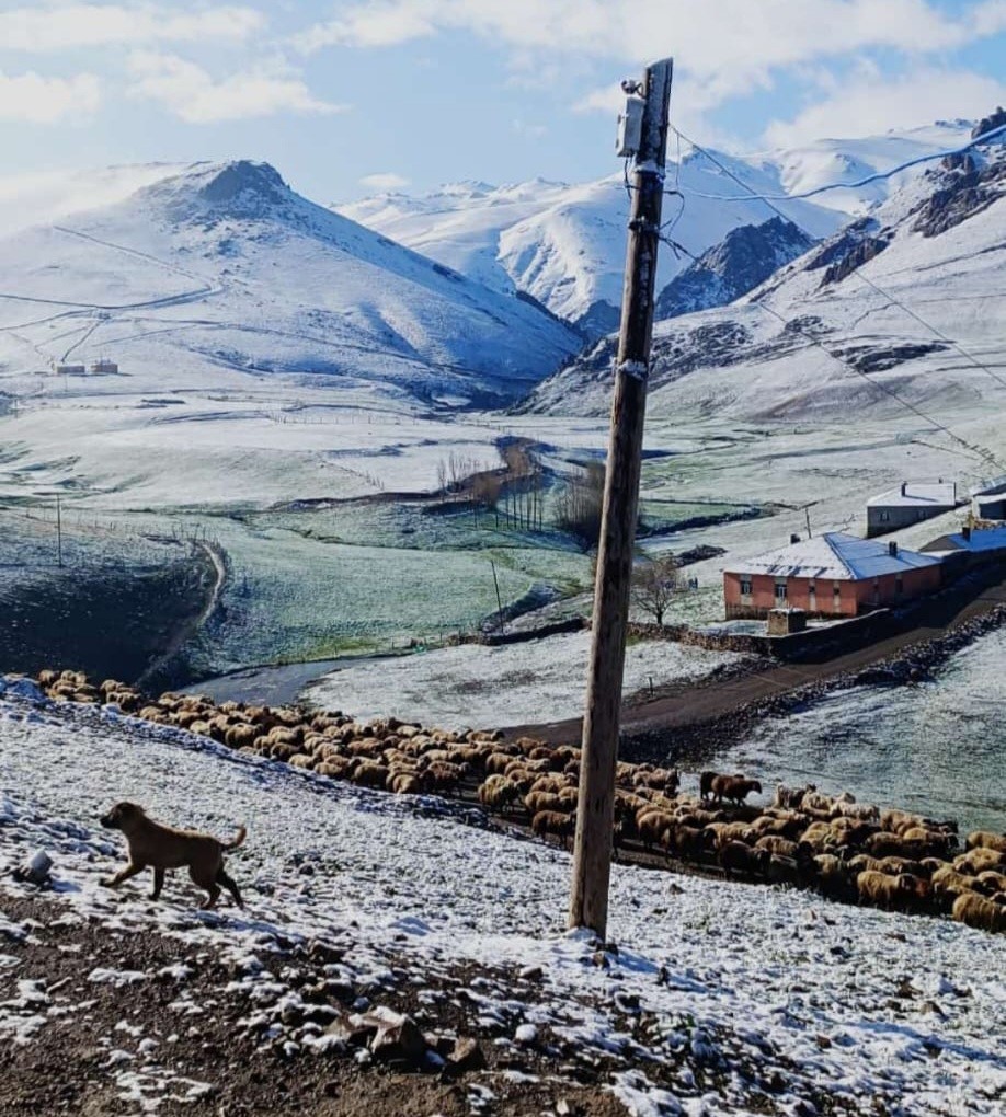 Başkale’de Mayıs ayında kar yağışı etkili oldu