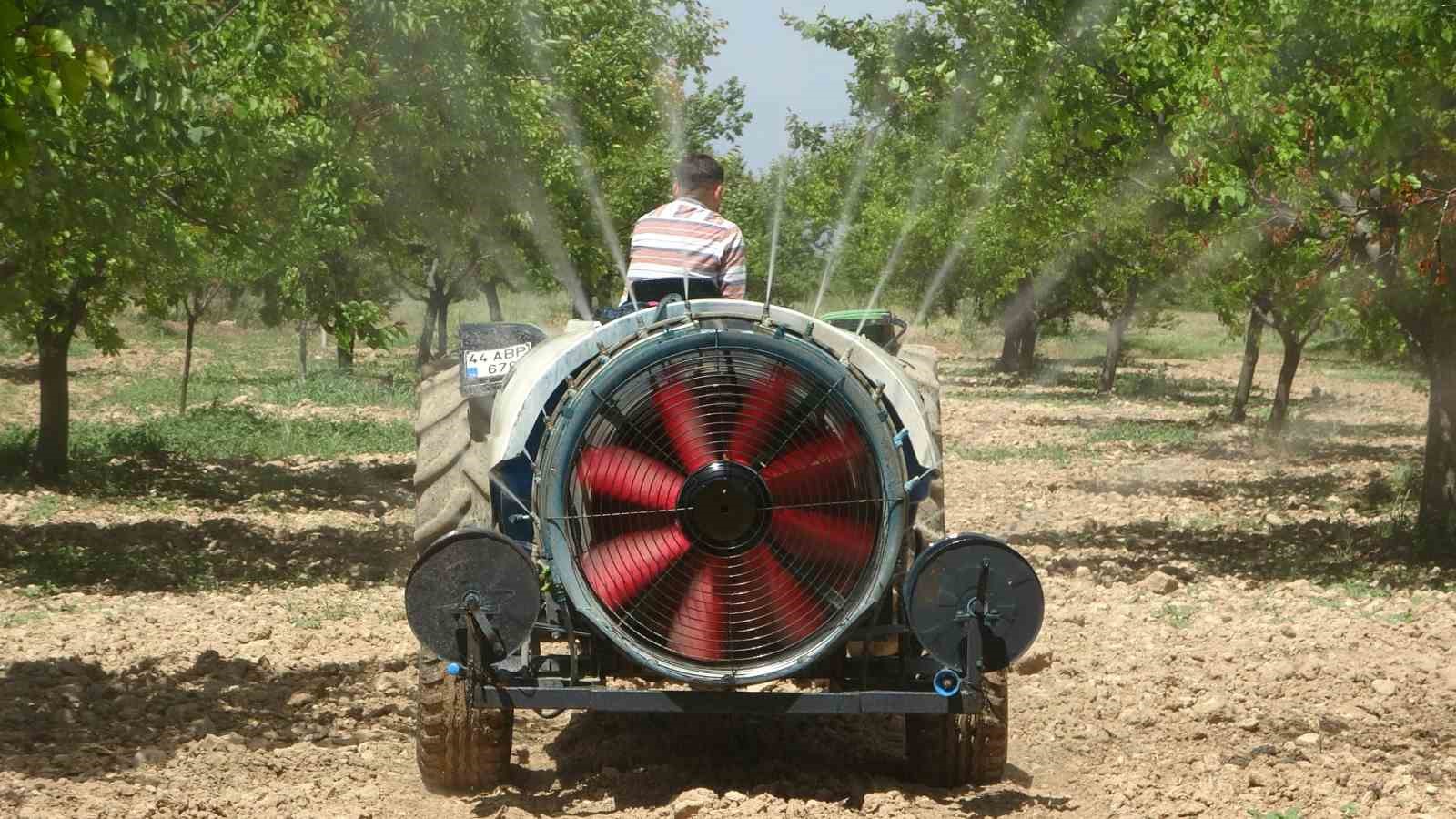 Malatya’da yeniden yeşeren kayısı ağaçları çiftçileri umutlandırdı