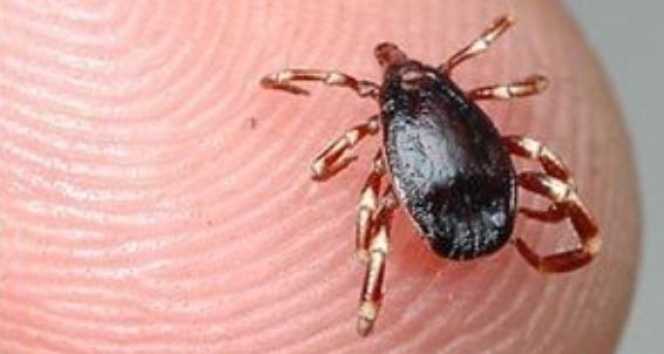 Kene kabusu başladı: Minik Metehan hayatını kaybetti