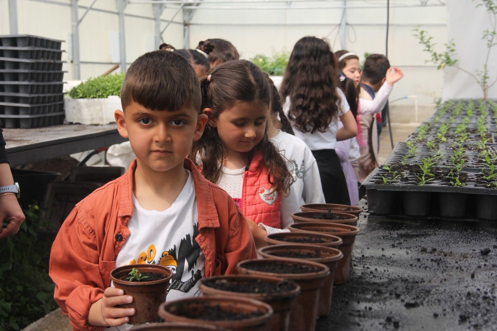 Van’da minikler seraları gezdi