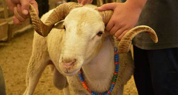 Kurban Bayramı Tatili Netleşti: 5 Haziran Öğleden Sonra Başlıyor