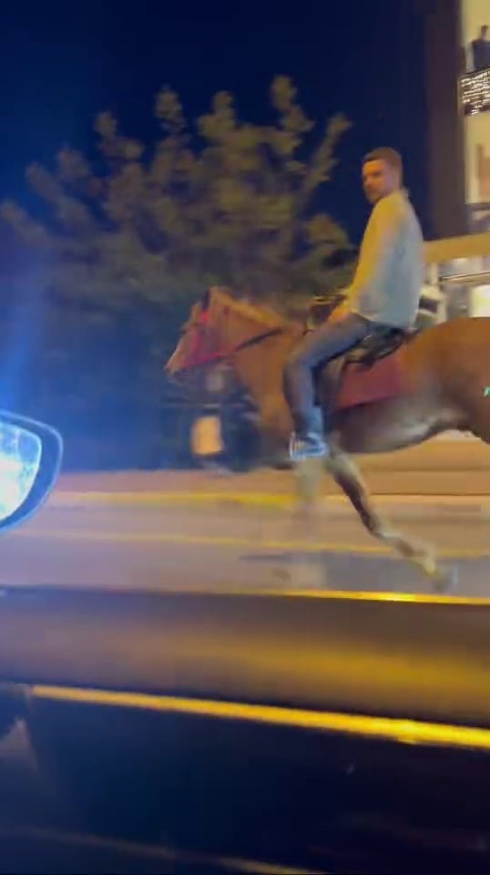 Şehrin göbeğinde dörtnala giden atı gören dönüp bir daha baktı