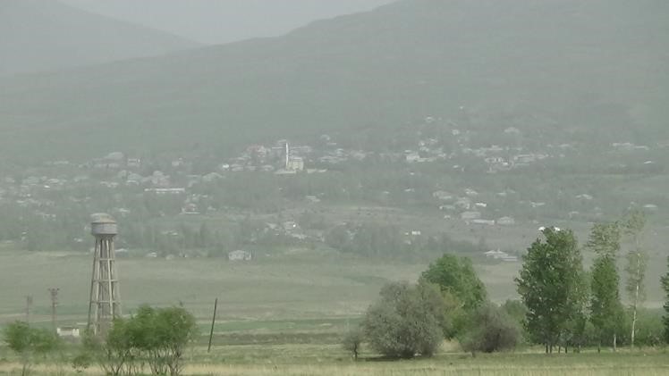 Prof. Dr. Alaeddinoğlu: 