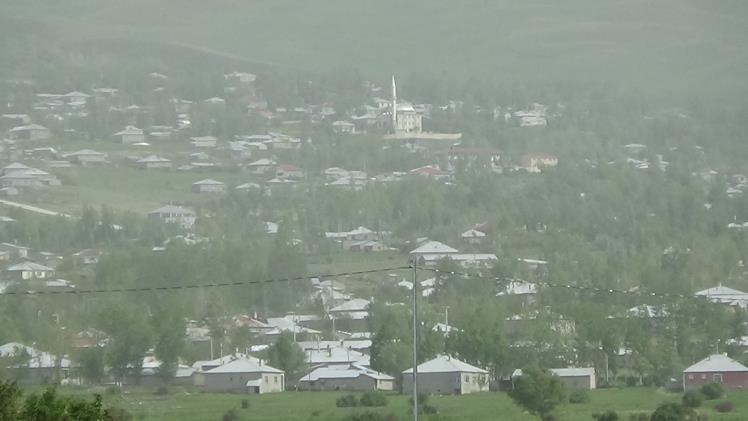 Prof. Dr. Alaeddinoğlu: 