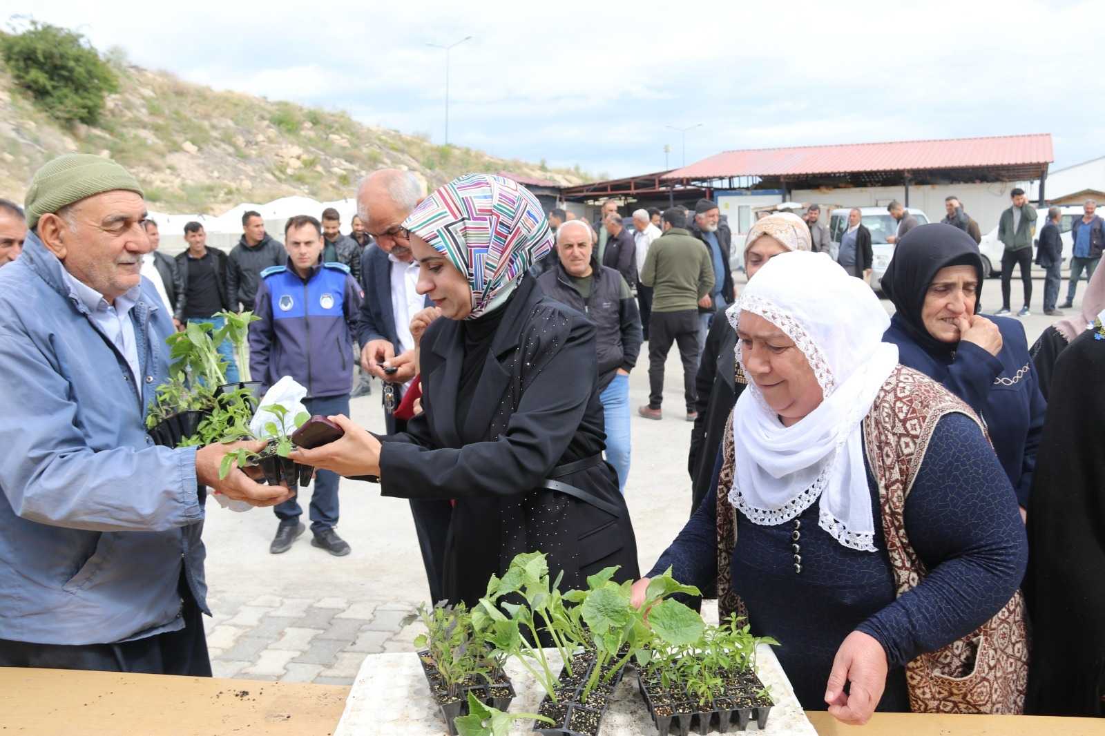 Edremit’te Ücretsiz Sebze Fidesi Dağıtımı
