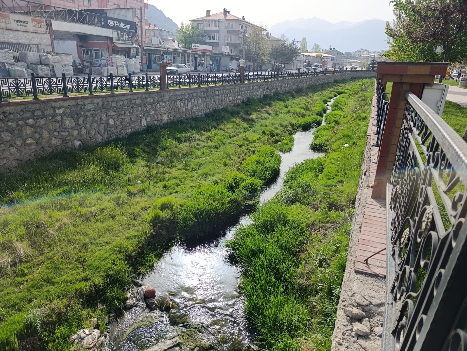 Binlerce Balık, Bir Engel: Kirlilikle Dolu Göç Yolu