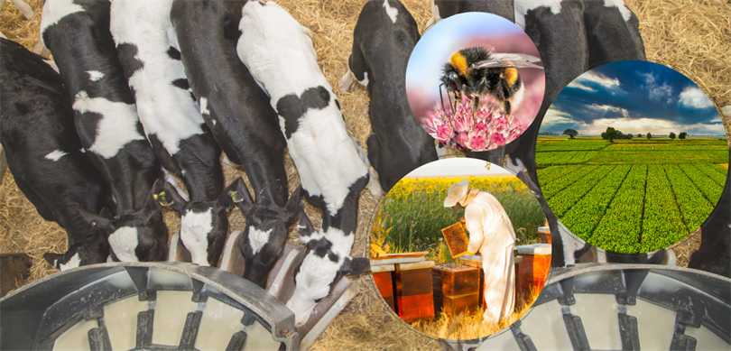 5,1 Milyar Liralık Destekleme Ödemesi Hesaplara Aktarılıyor