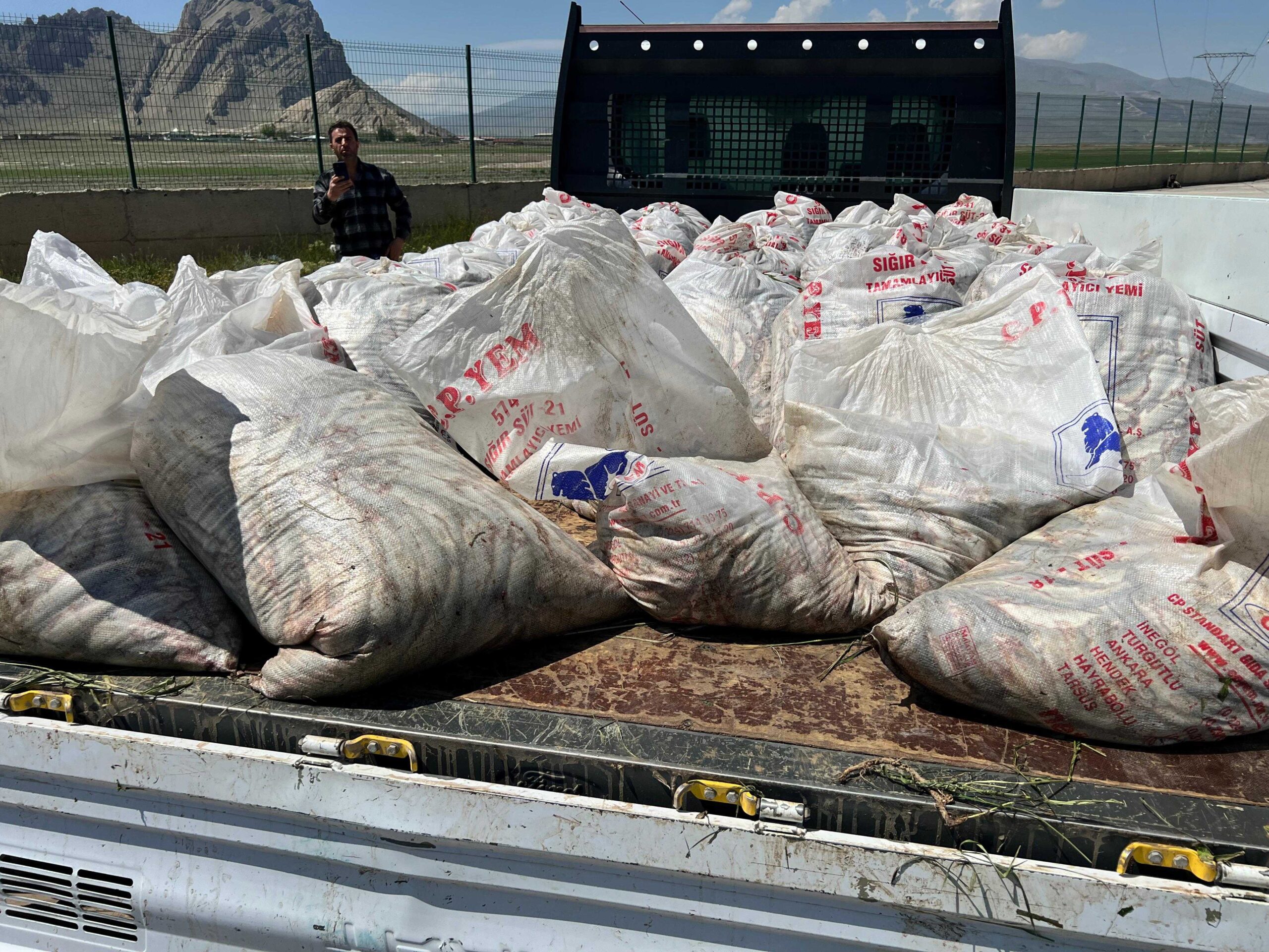 Tonlarca kaçak inci kefali Ağrı’da ele geçirildi