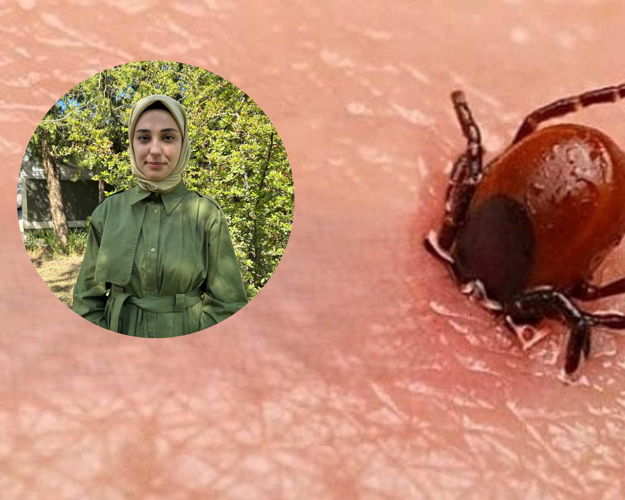 KKKA İçin Aşı Yok, Önlem Şart: Van’da Kene Uyarısı!