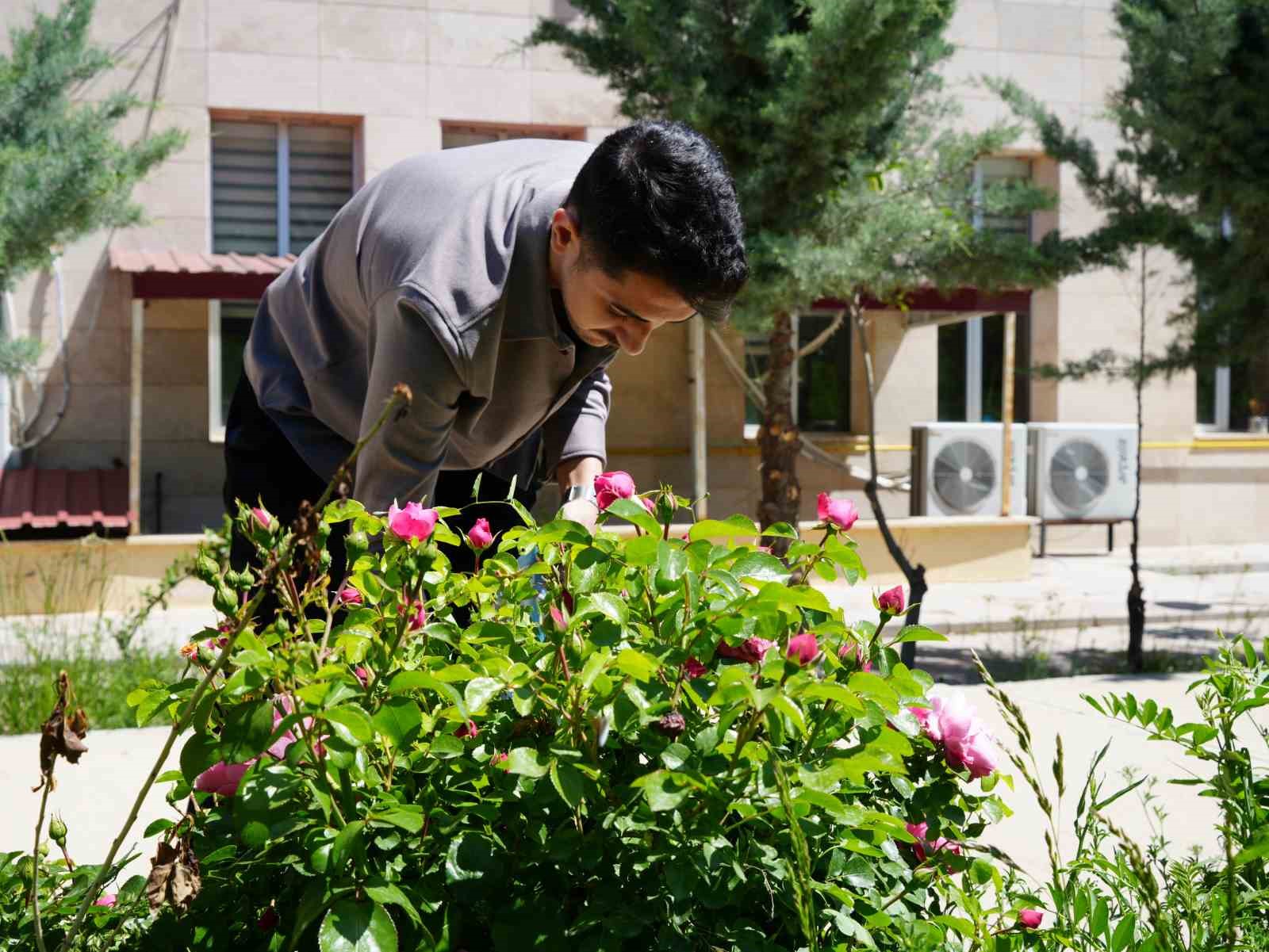 Iğdır Üniversitesi’nde yetişen güller kozmetik ürünlere dönüşüyor