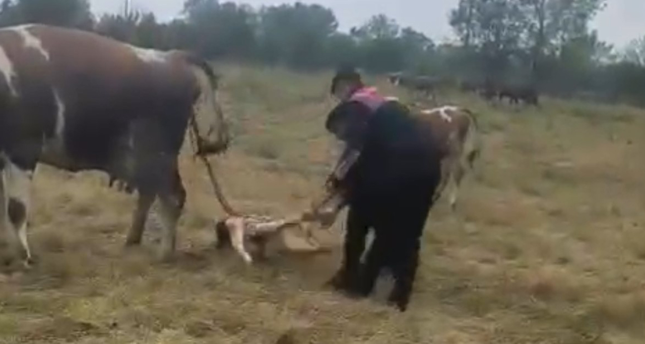 Jandarma doğum yaptırdı