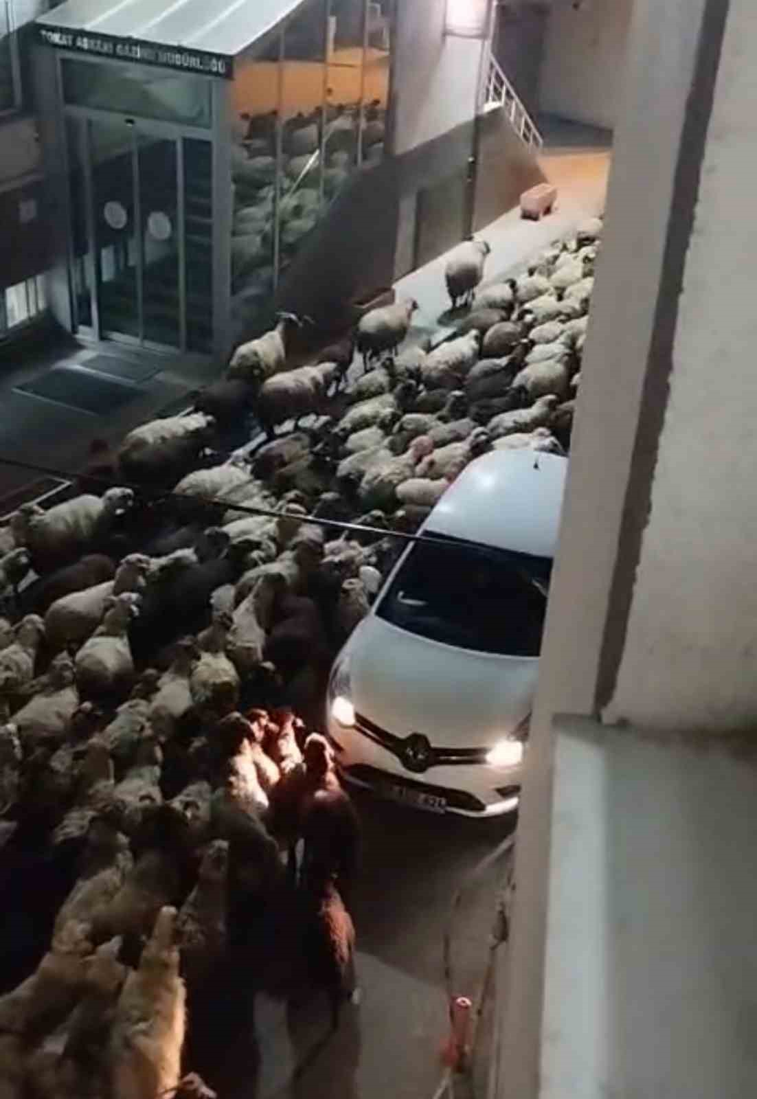 Tokat’ta gece başlayan yayla göçü dronla görüntülendi