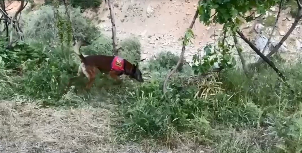 Dere Kenarındaki Uyuşturucuyu Dedektör Köpekle Ortaya Çıktı