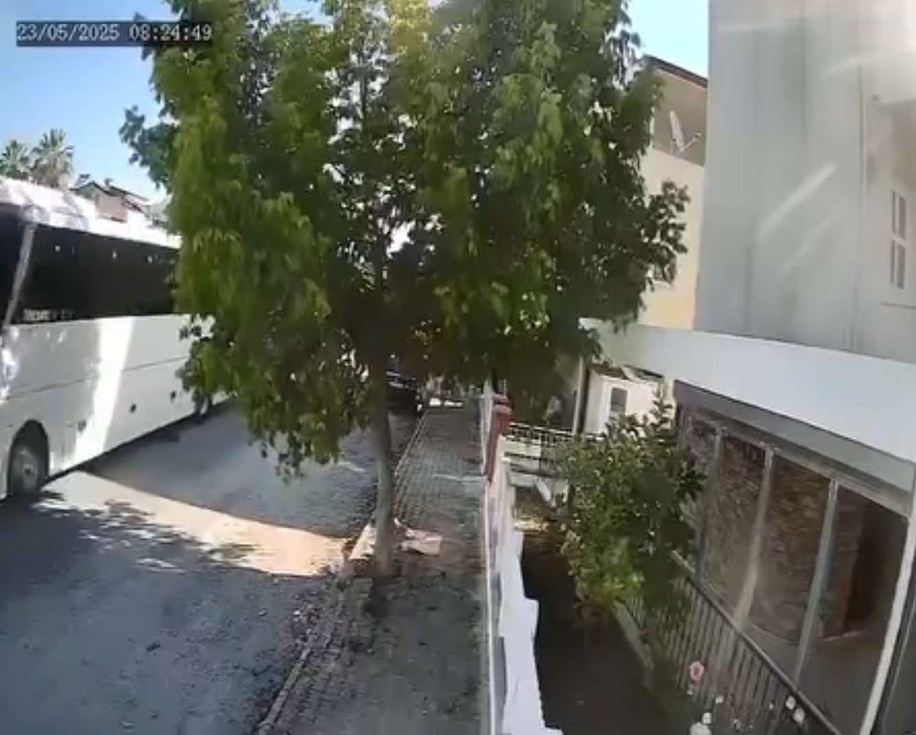 Dikkatsiz şoför,  köpeği  ezdi