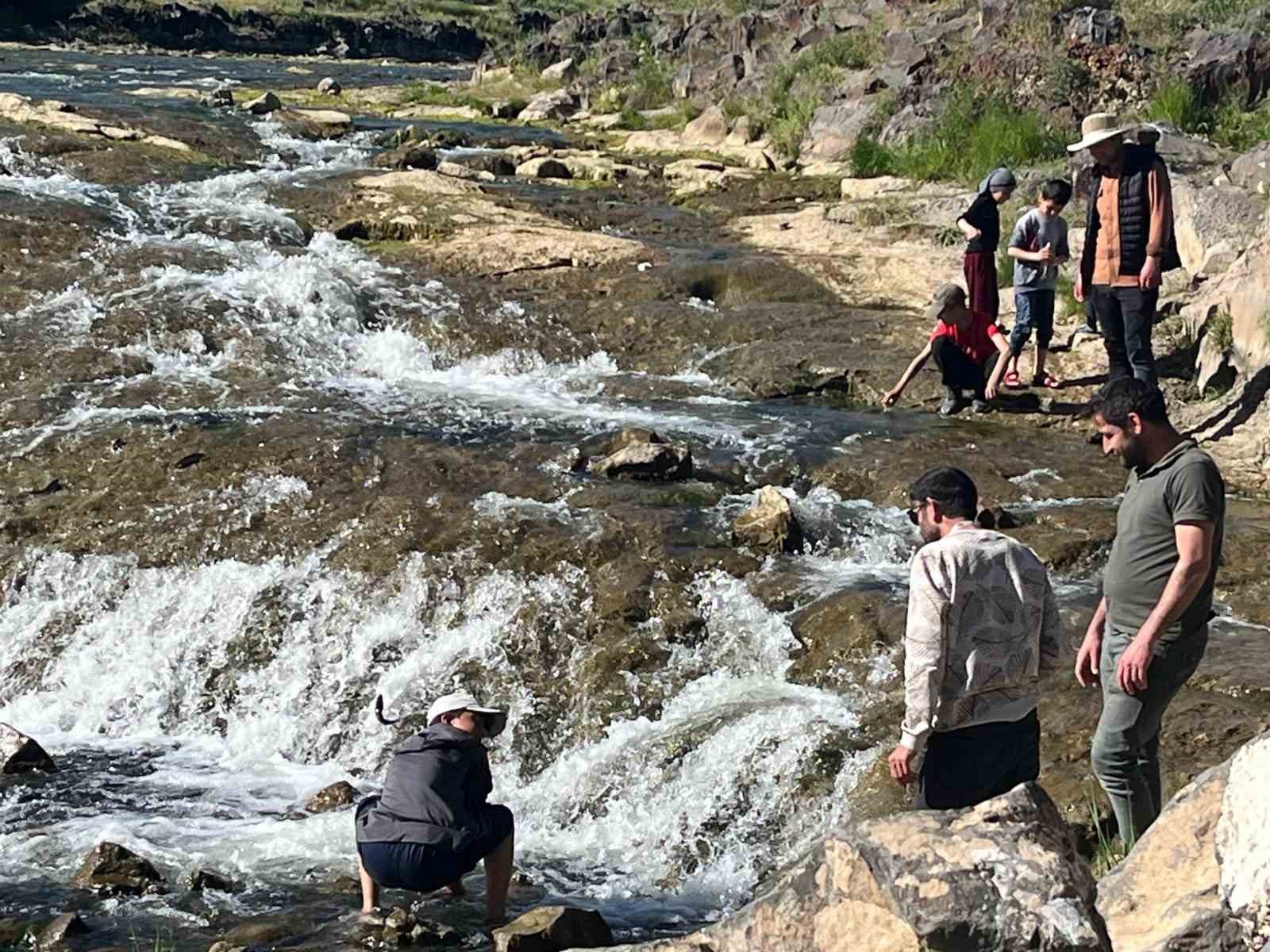 İnci Kefali Göçü Turistleri Hayran Bıraktı