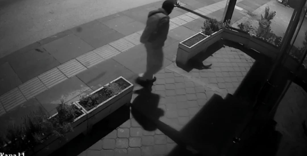 Kedi Hırsızlığı Kamerada!