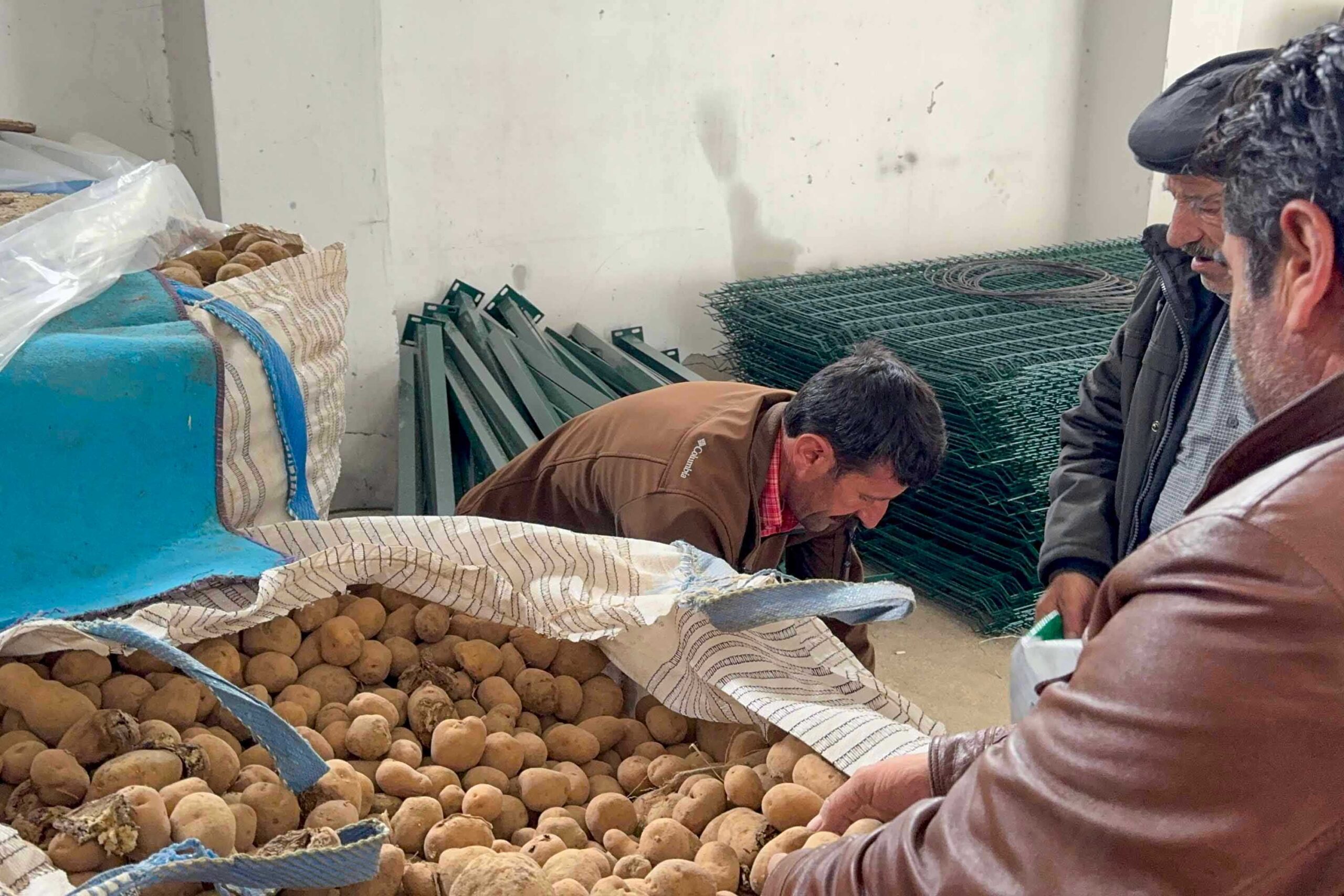 Çataklı Çiftçilere Patates Tohumu Desteği!