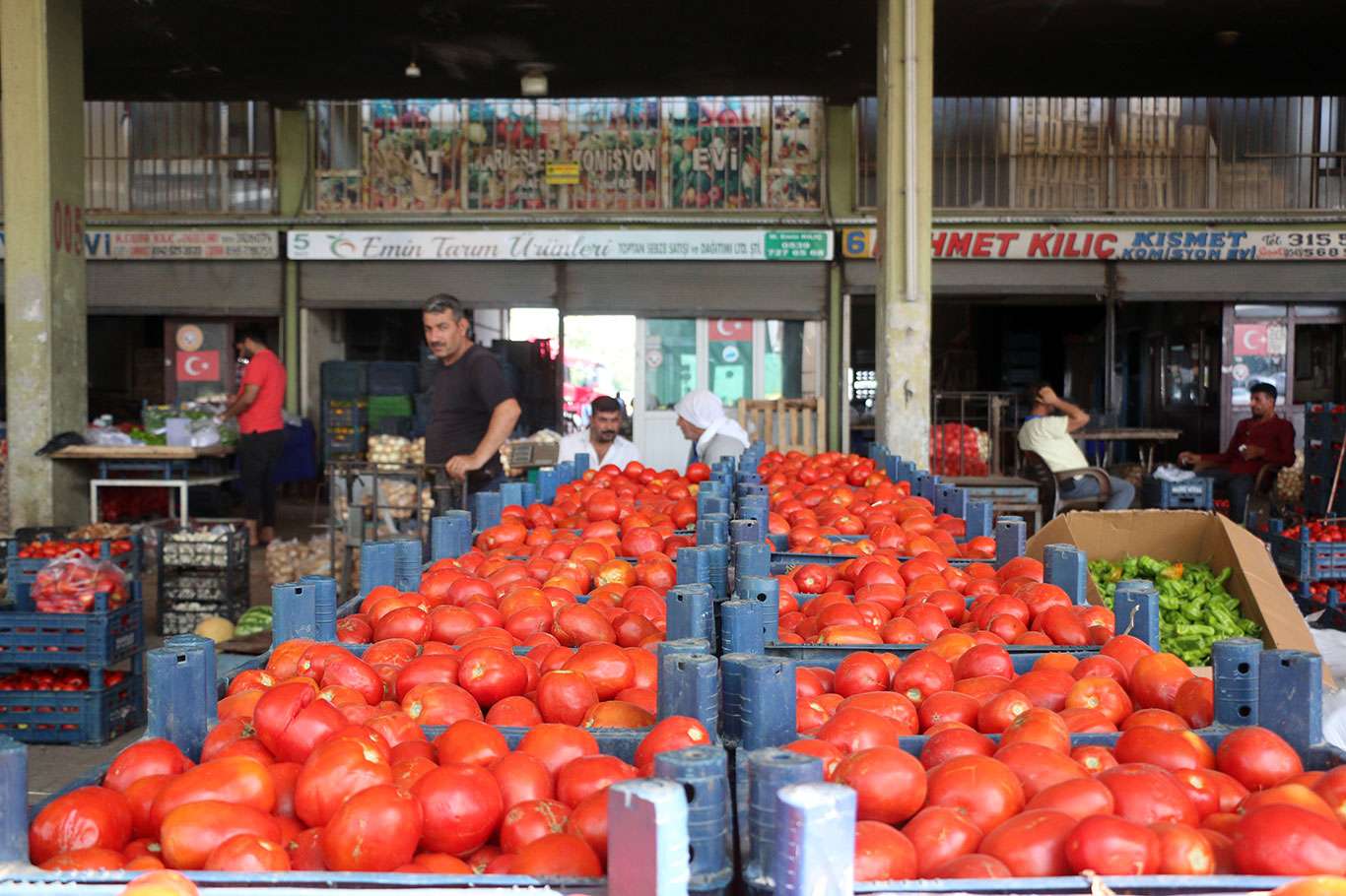Van Sebze Hali 28 Mayıs 2025 Fiyatlarını Açıkladı