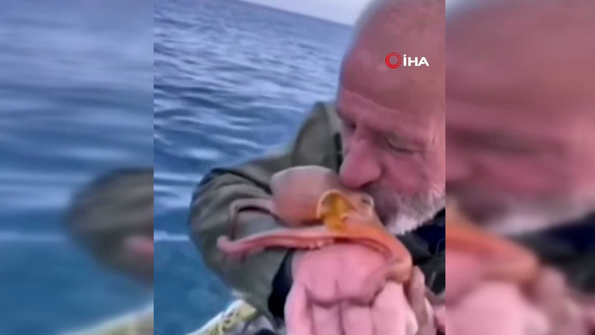 Balıkçının ahtopot sevgisi gülümsetti 