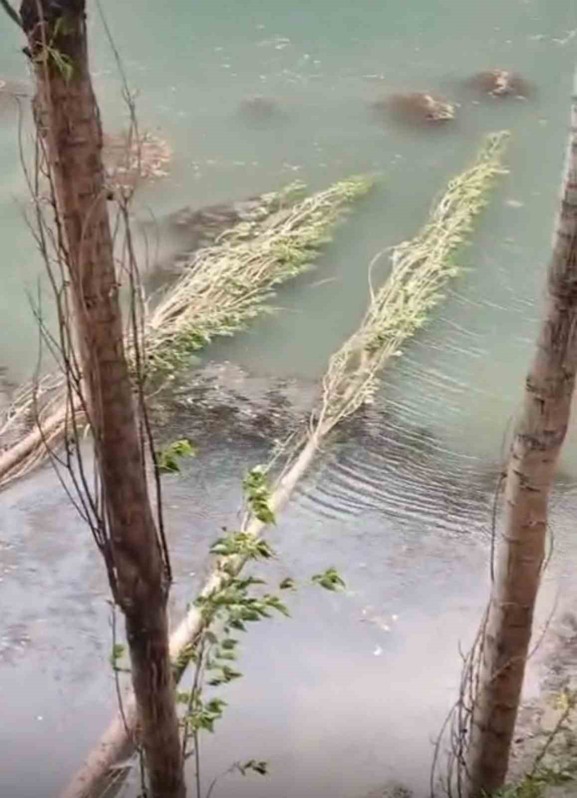Şiddetli fırtına hayatı durma noktasına getirdi