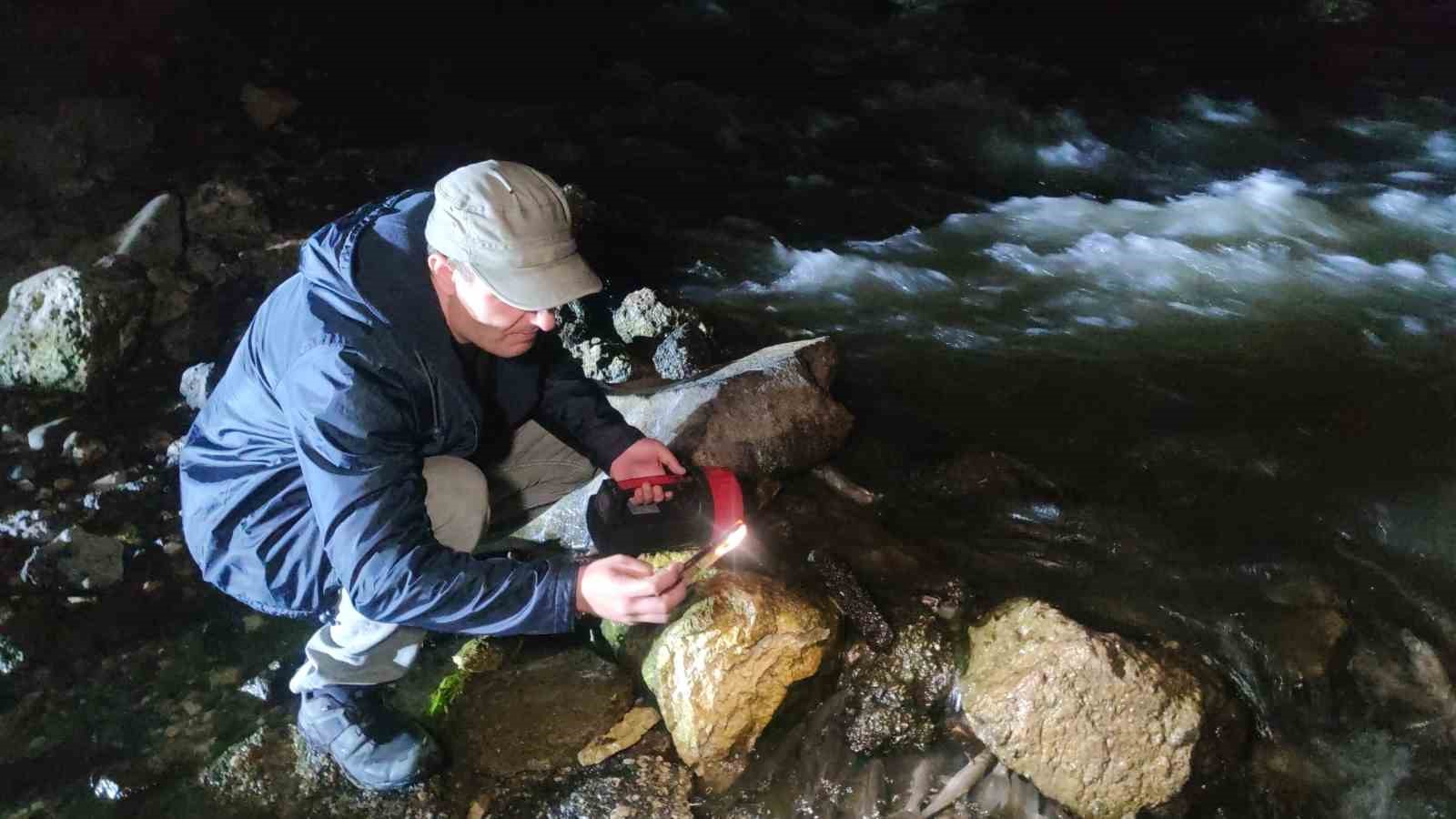Van balığının gece yolculuğu başladı