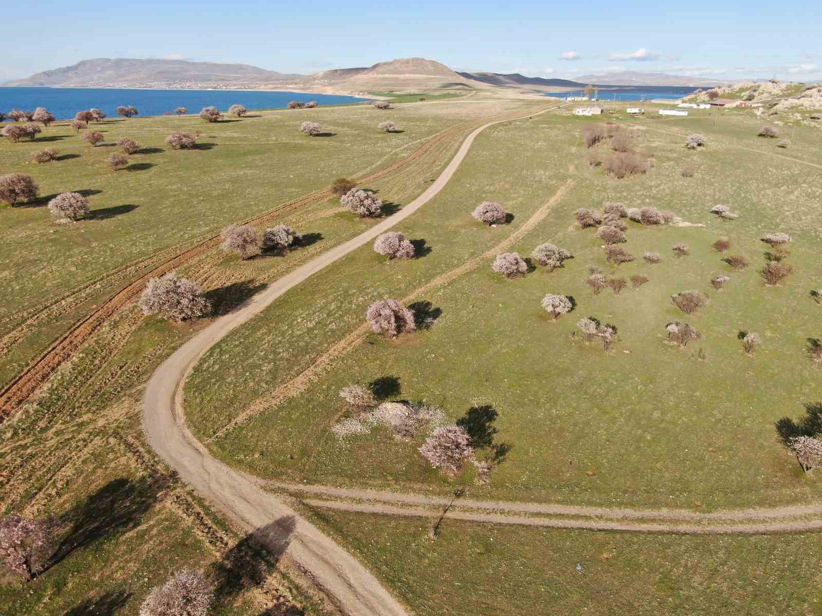 Van Gölü’nde Baharın Adı: Çarpanak Yarımadası Manzarasıyla Mest Ediyor