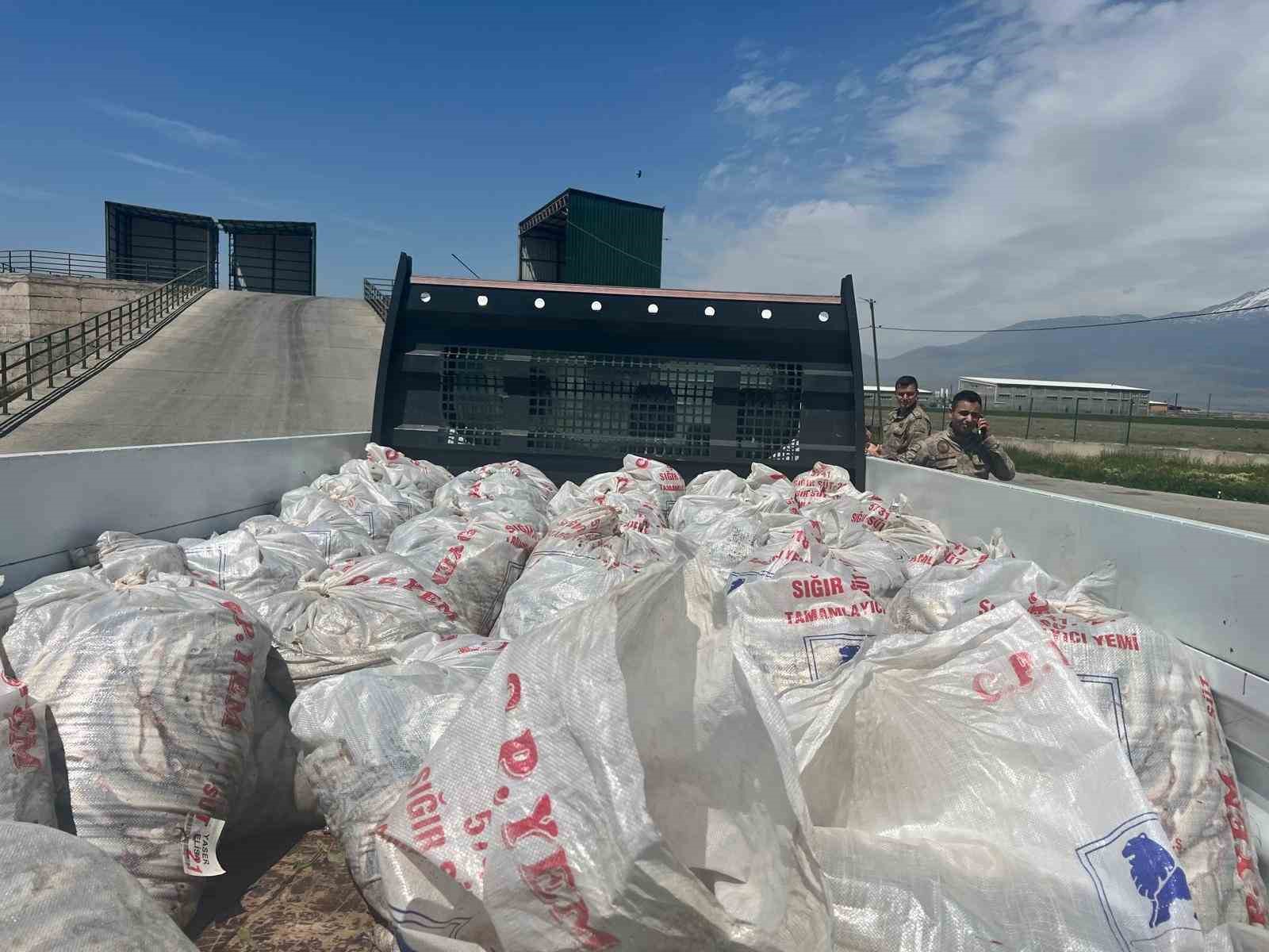 Van Gölü’nün Canı Tehlikede! 2 ton kaçak inci kefali ele geçirildi