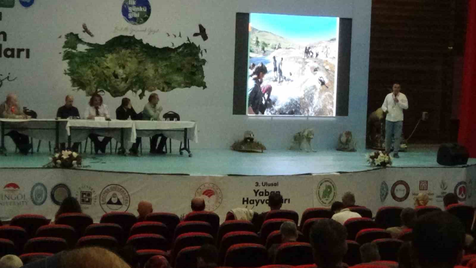 Van Gölü’nün oluşumu ve inci kefalinin mücadelesi