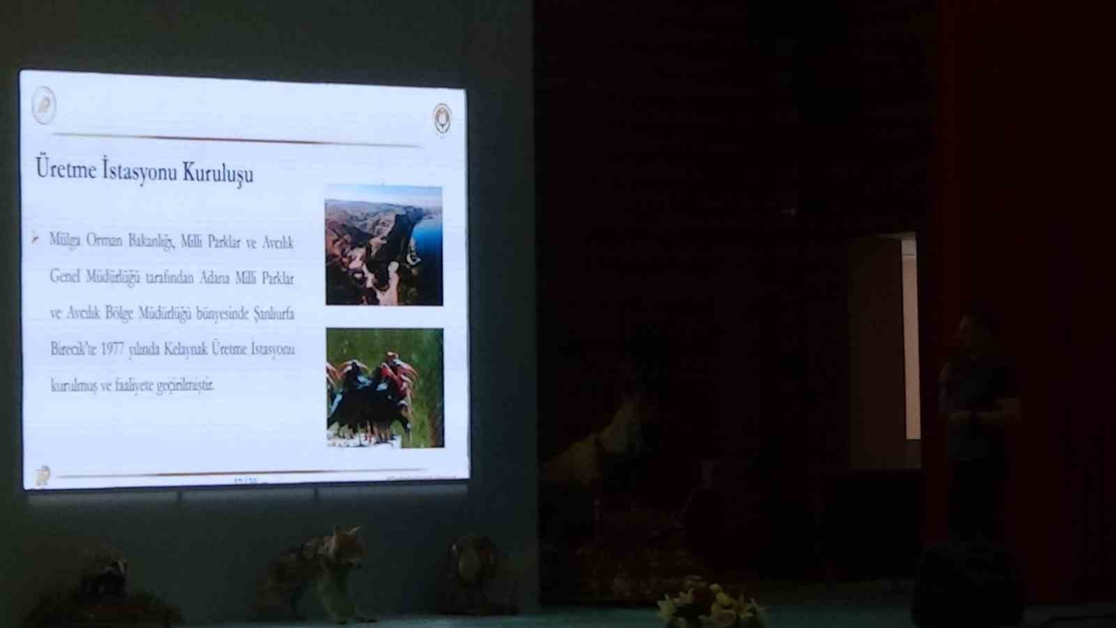 Van’da Kelaynak kuşlarının üretimi masaya yatırıldı