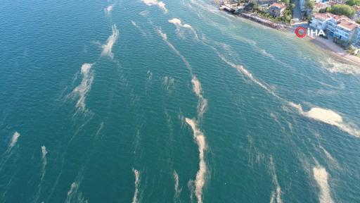 Kınalıada’da müsilaj alarmı: Deniz salyası yeniden görüldü