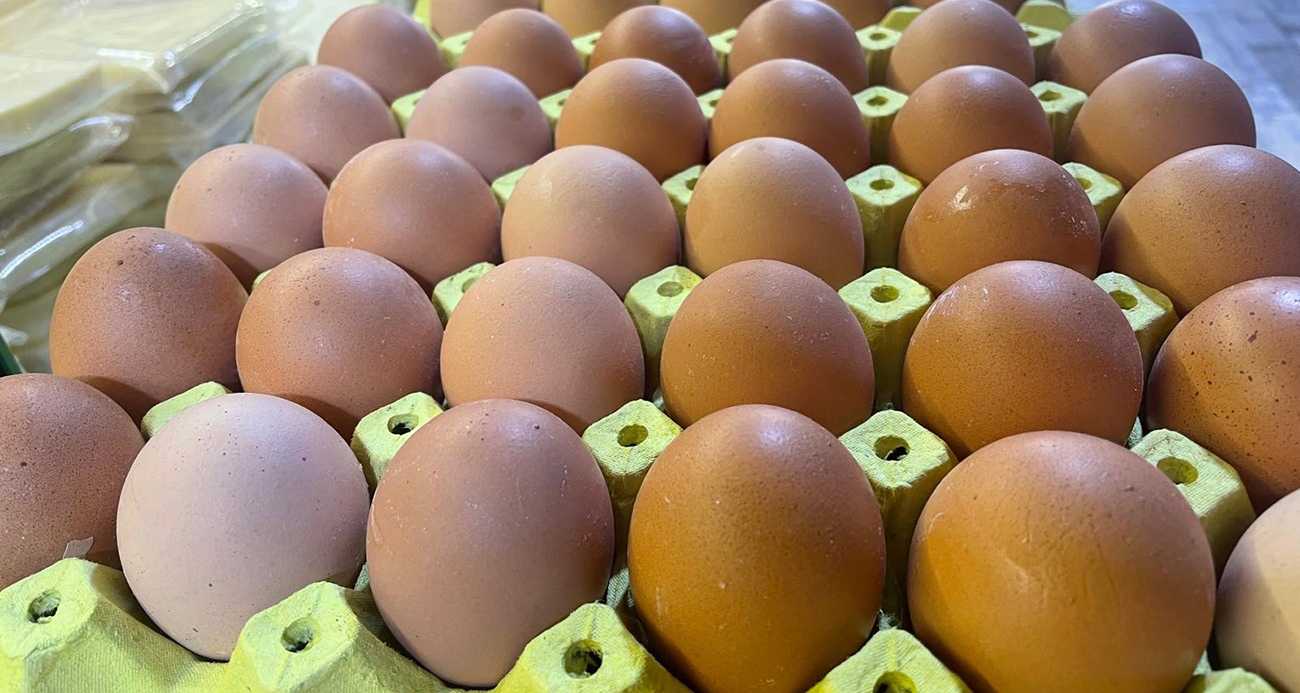 Yumurta kabuğu sanayide çok değerli