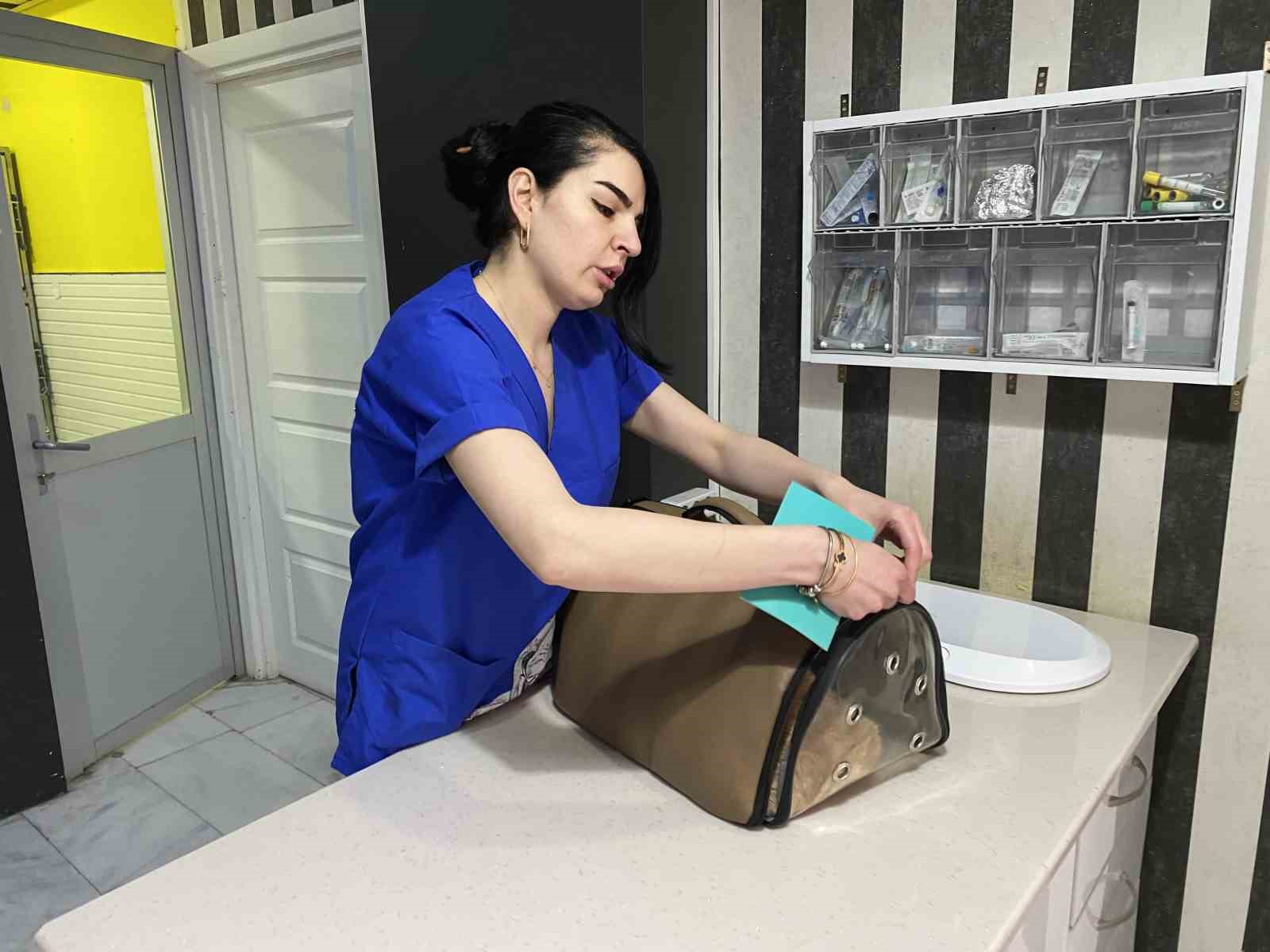 Bayramda evcil hayvan ile seyahat edecek yolcuların dikkat etmesi gerekenler