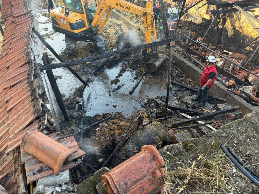 Bayrama iki gün kala yürek yakan yangın: Kurbanlıklar telef oldu