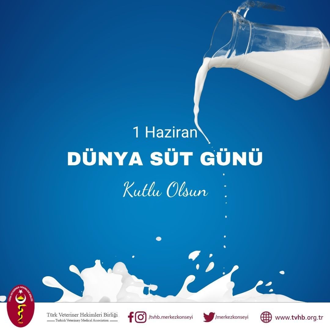 TVHB Başkanı Eroğlu: “Süt Toplama ve Kalitesi Yetersiz”