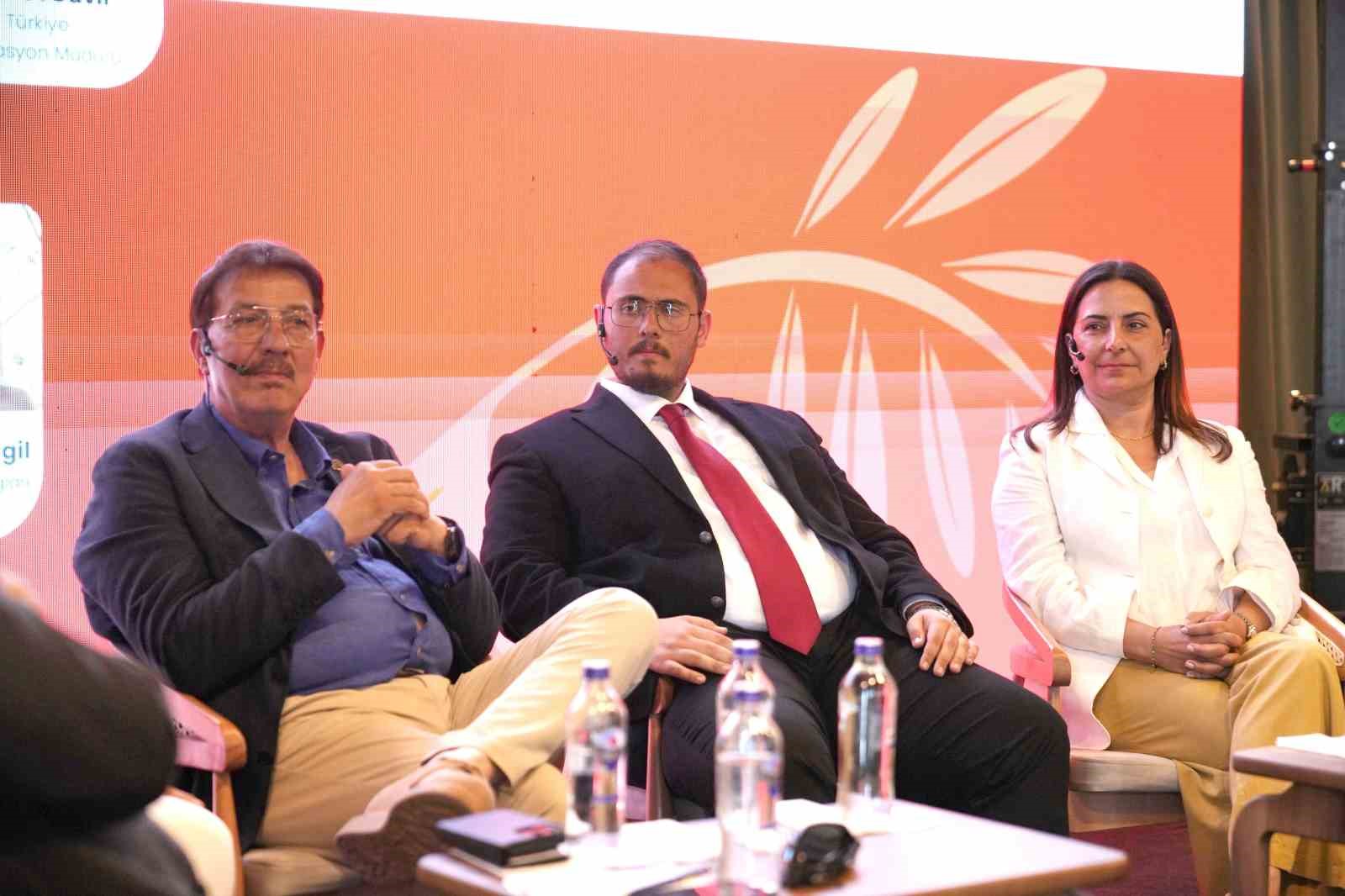 Zeytinyağında fiyat düşüşü bekleniyor