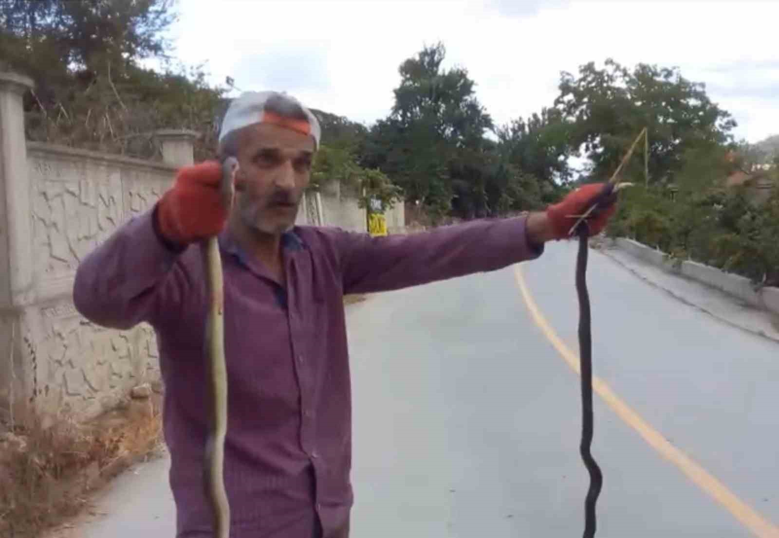 Yılanları korkmadan elleriyle yakaladı