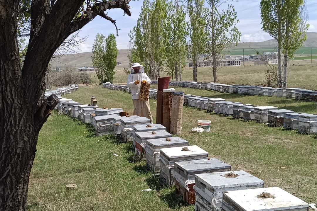 Hakkâri’de kırsala 38 milyon TL hibe desteği