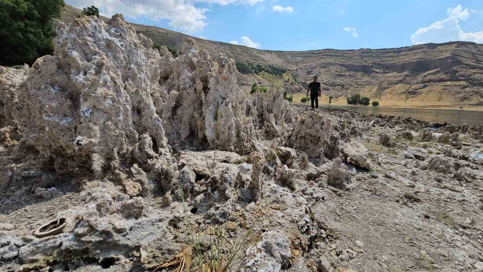Van Gölü sahilleri mikrobiyalit tarlasına döndü