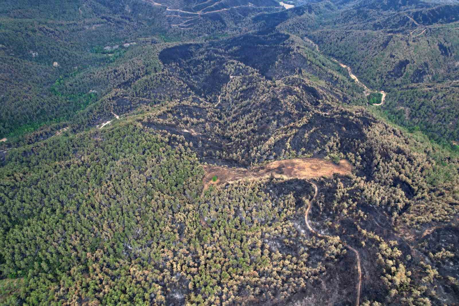 Yeşilin tonları yanarak siyaha dönüştü