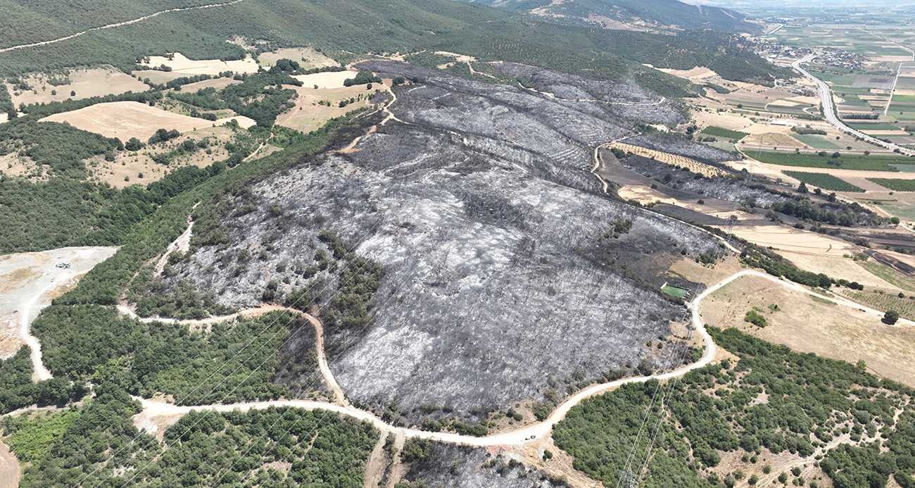 Bursa’daki yangınlarda 65 hektar küle döndü
