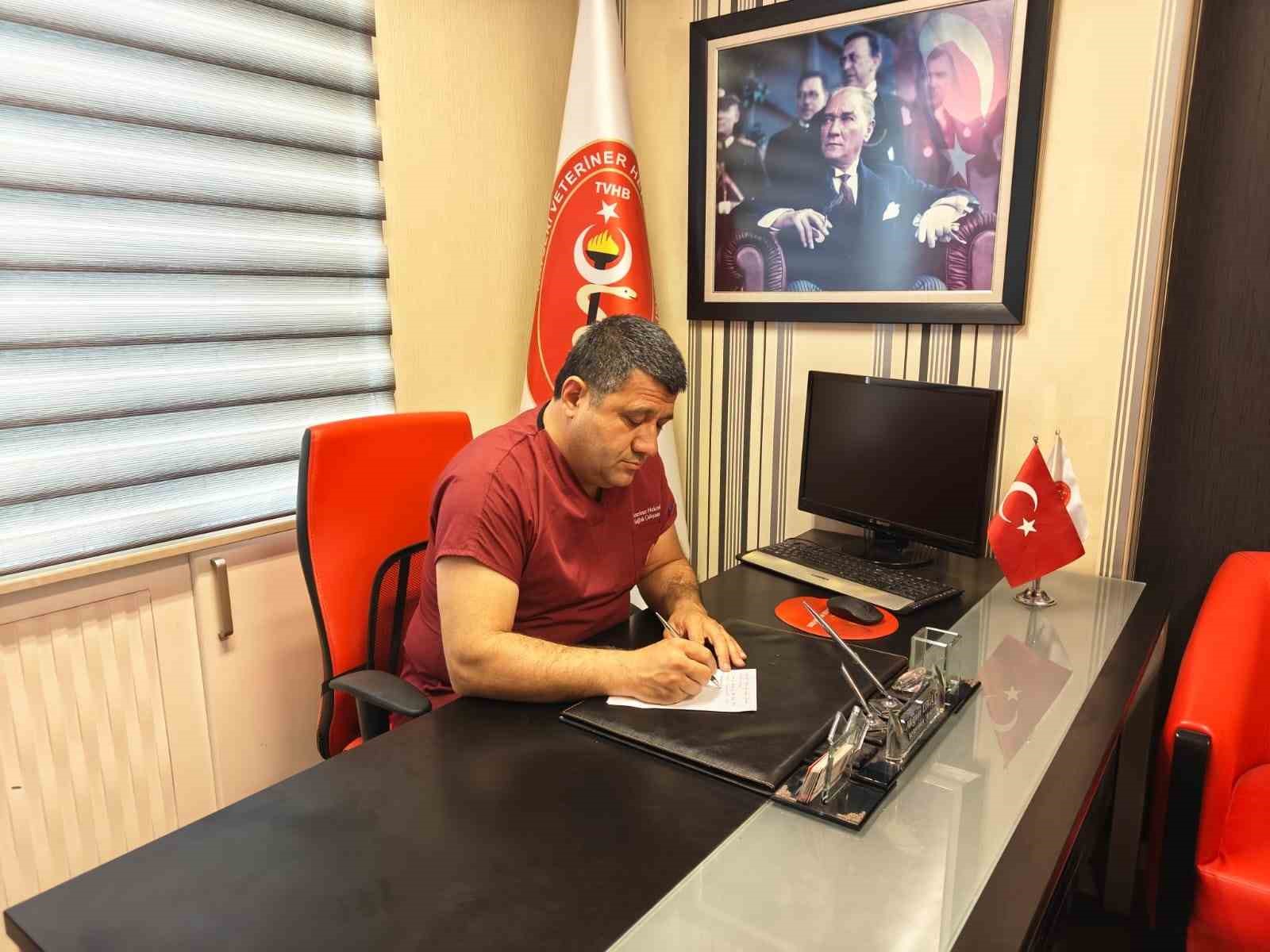 Sineklerle mücadele yönteminizi değiştirin