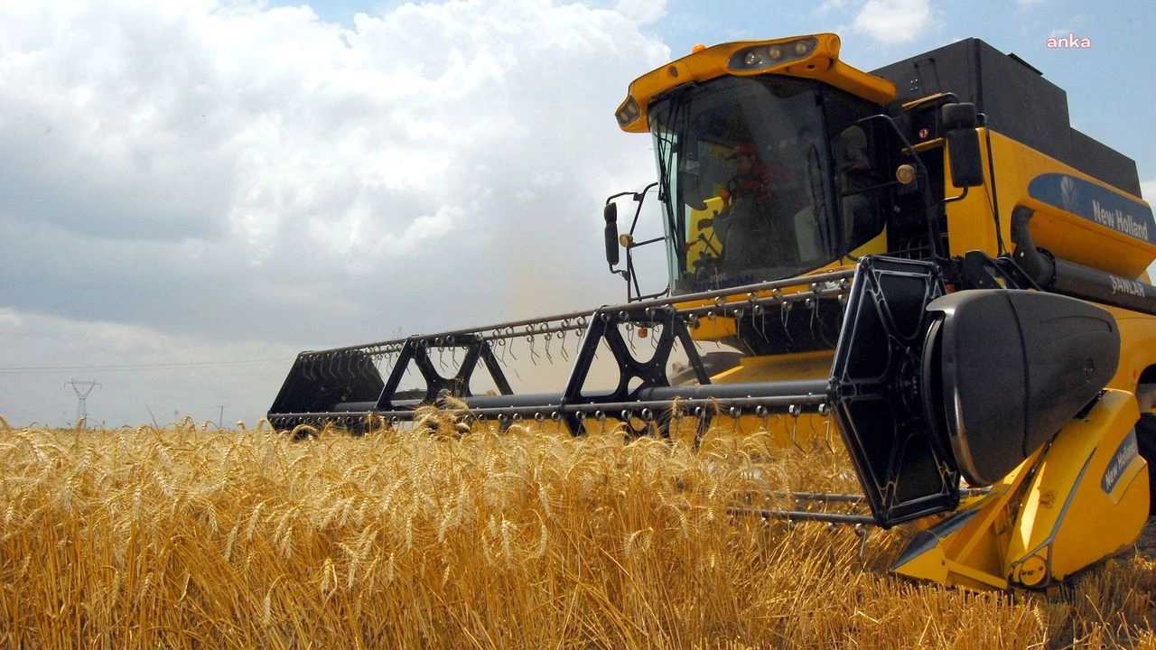 Tarım-ÜFE yıllık yüzde 28,96 arttı