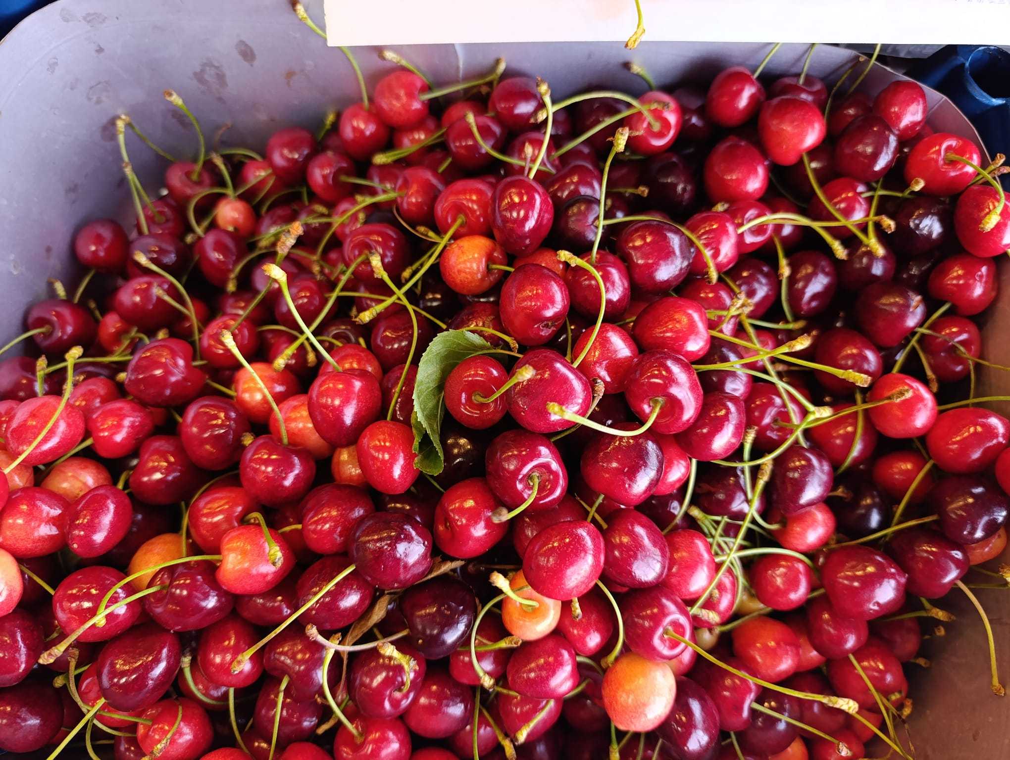 Van’da Kiraz Fiyatları Dudak Uçuklattı: Meyve Artık Lüks Oldu