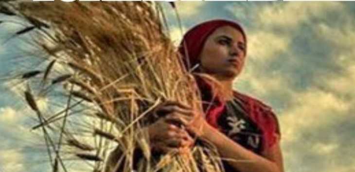 Tuşba’da ‘Kadın Kent Bostanı’ Açılıyor 